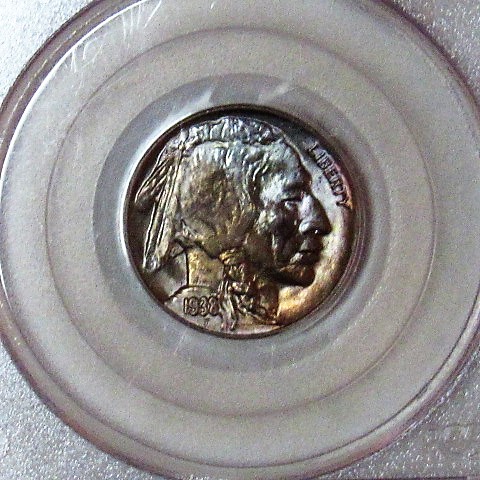 PCGS-Slab-With-Scuffs-Inside?-1910-Half-Eagle
