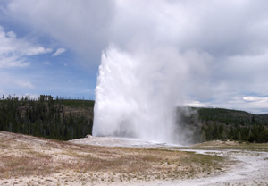 Old Faithful