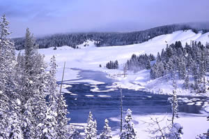 Yellowstone in Winter