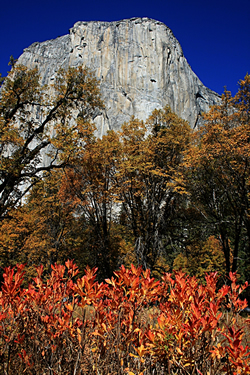 Yosemite in Autumn