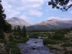 Dana Fork of the Tuolumne River